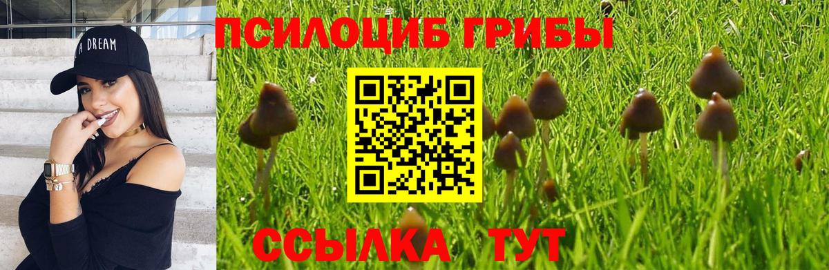 Галлюциногенные грибы MAGIC MUSHROOMS  Вход с VPN  Якутск 