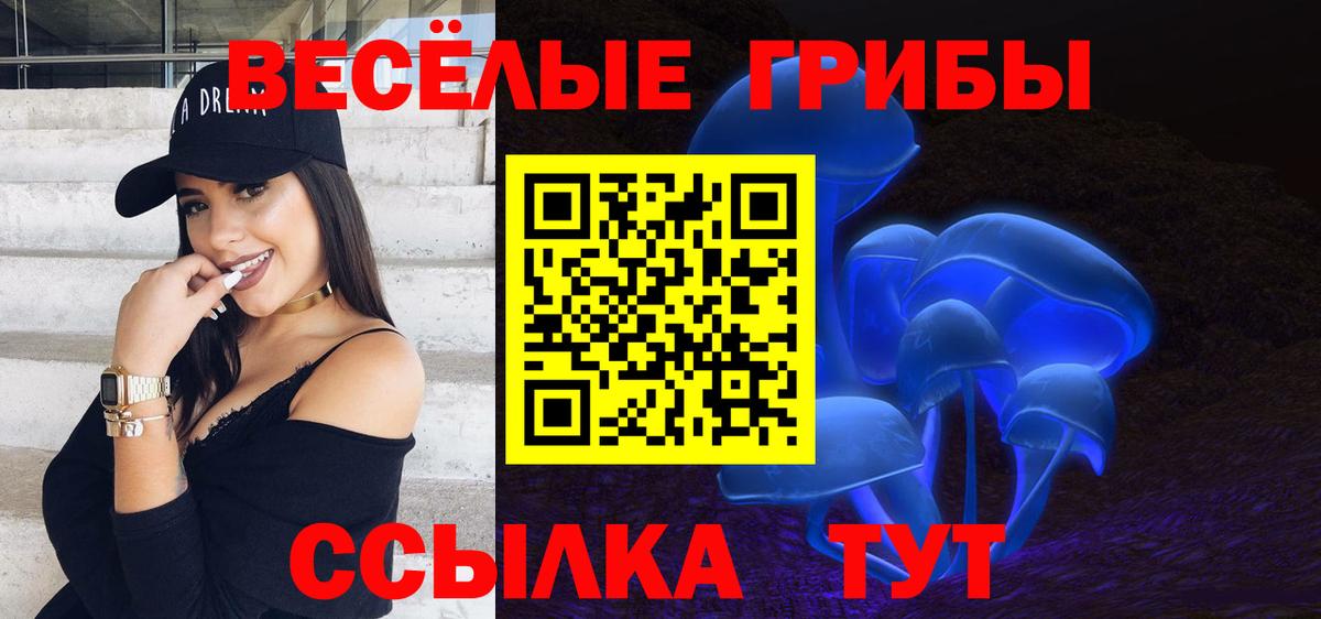 Галлюциногенные грибы Psilocybine cubensis Якутск